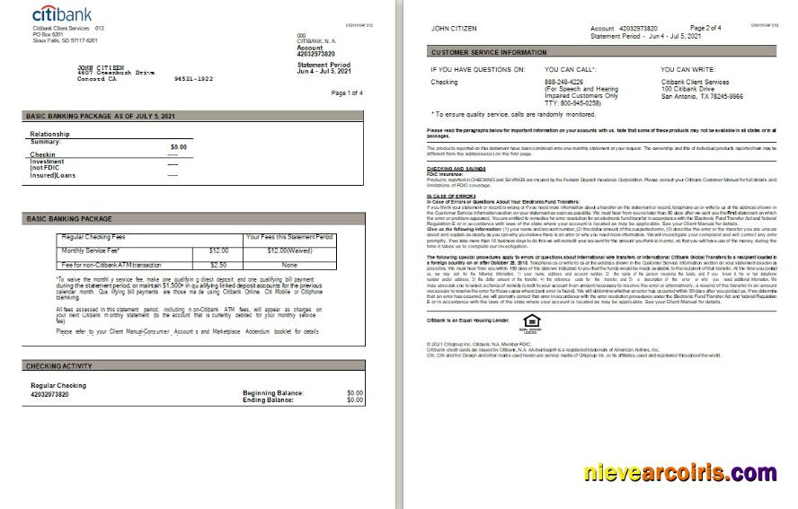 USA Citibank statement Word and PDF, 3 pages